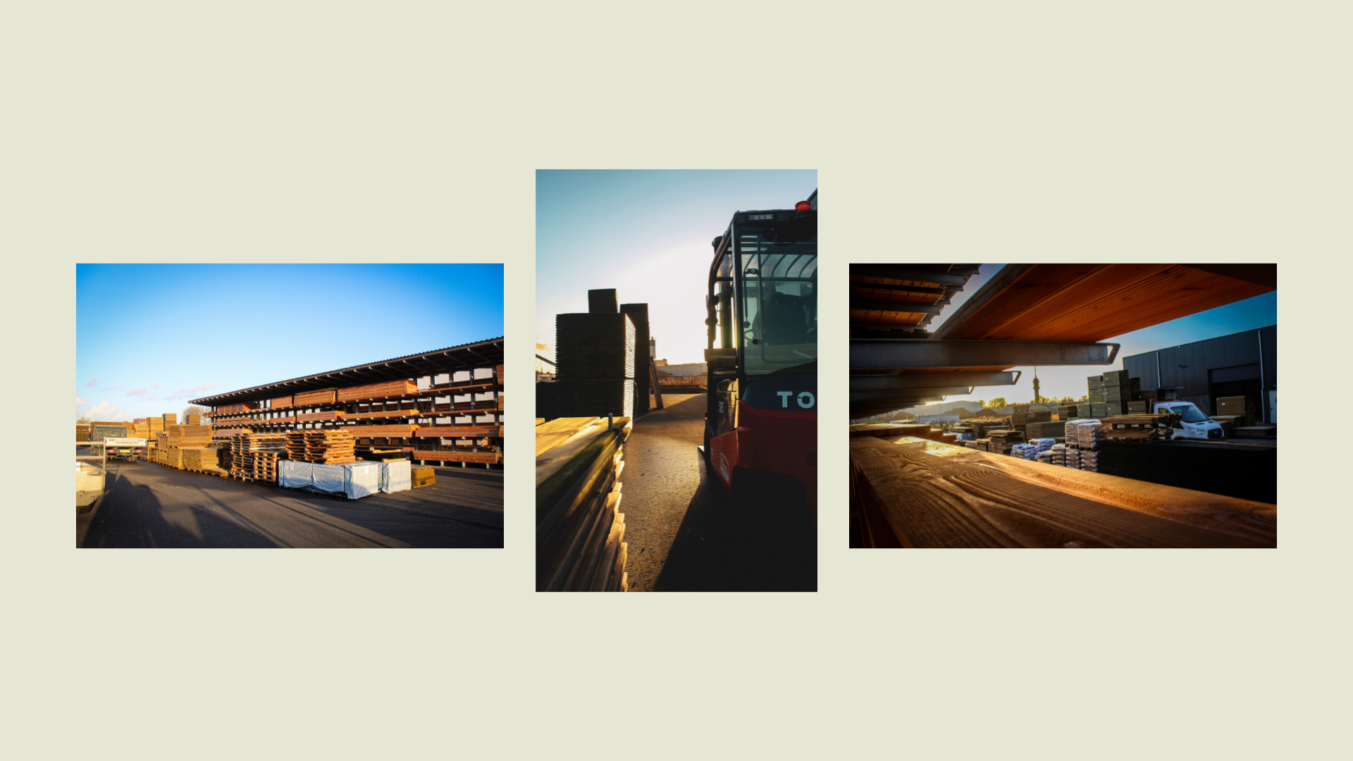 Website (12)